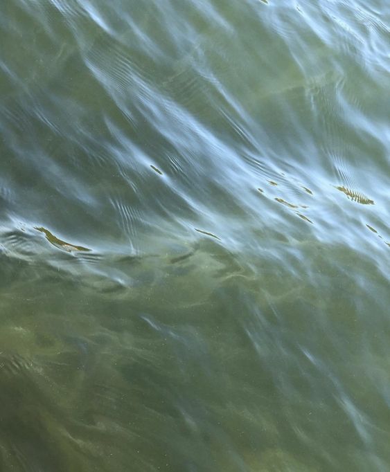 Messy suede slingbacks